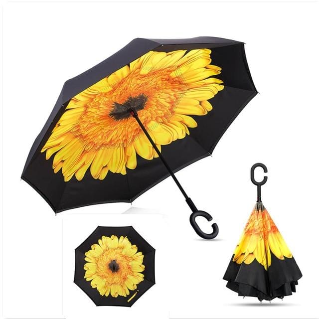Reversible Umbrella