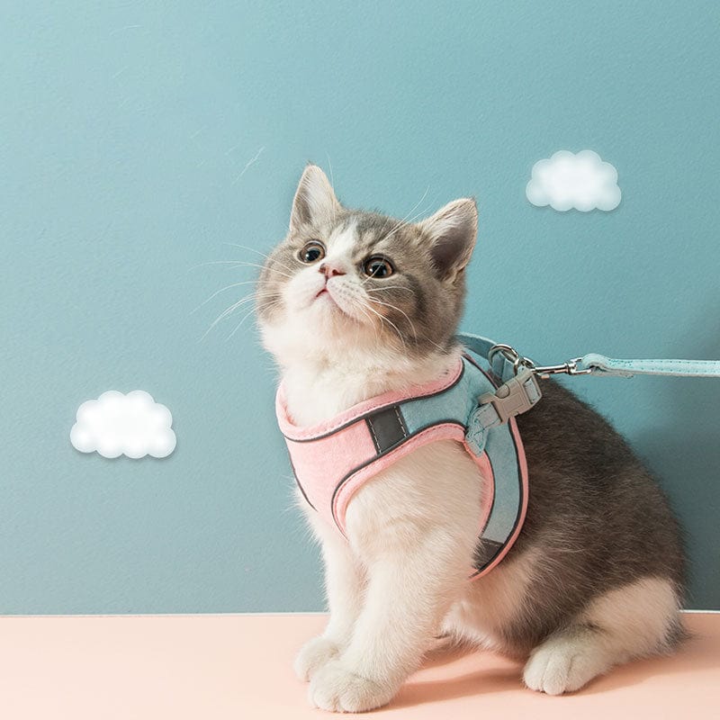 Pet Cat Vest Harness