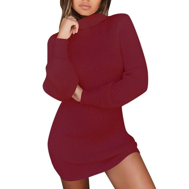 Women Fashion Turtleneck Sweater