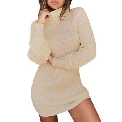 Women Fashion Turtleneck Sweater